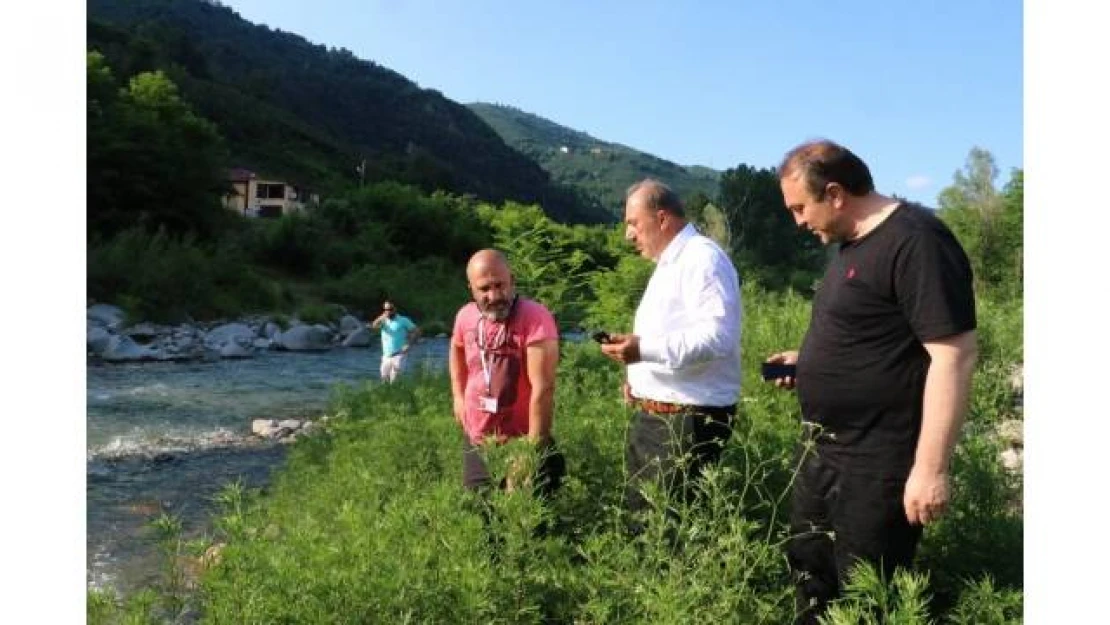Ordu'da rafting için çalışmalar başlatıldı