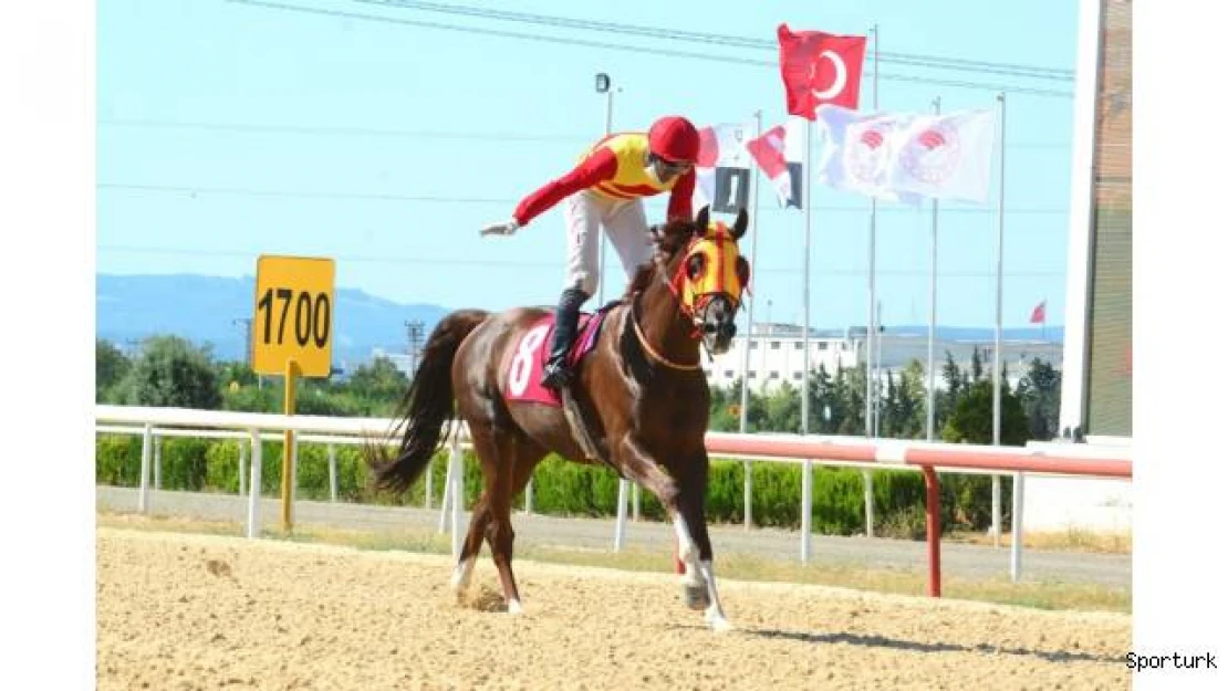'Gümbürgümbür' kupa sevinci