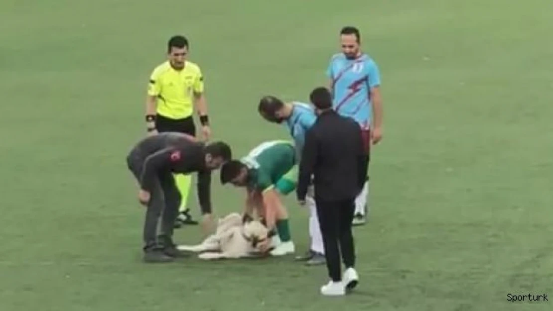 Bursa'da nefes kesen mücadeleye 'köpek' molası