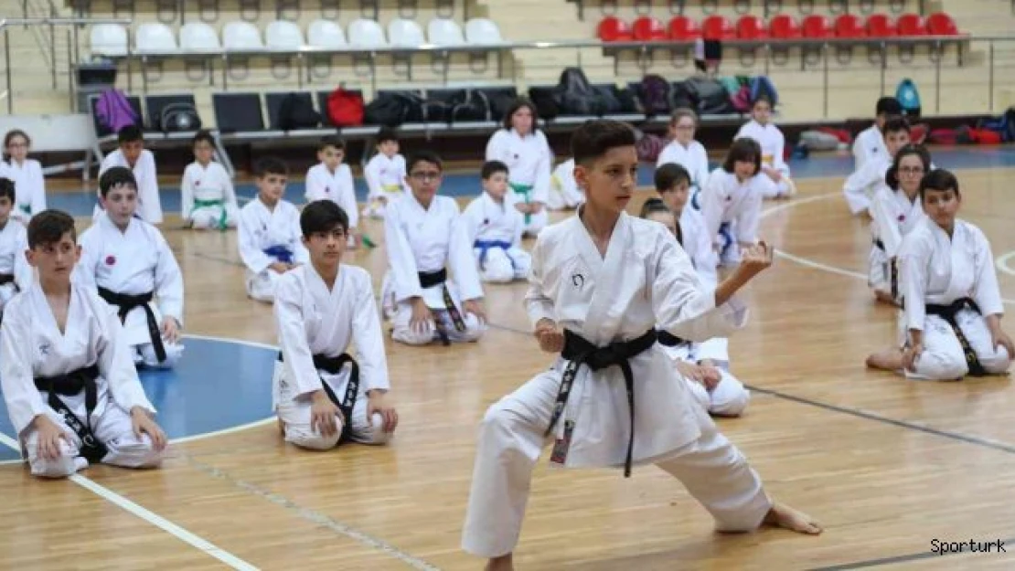 Çayırova'da karete şampiyonası