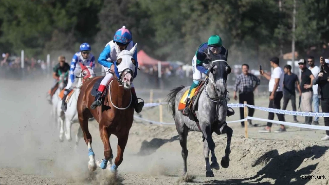 Pırlanta Pirinç Festivali'nde at yarışları nefes kesti