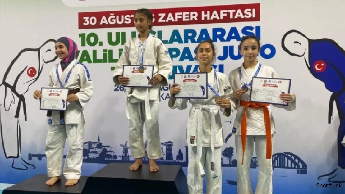 Vanlı judocular Sakarya'dan 2 birincilikle döndü
