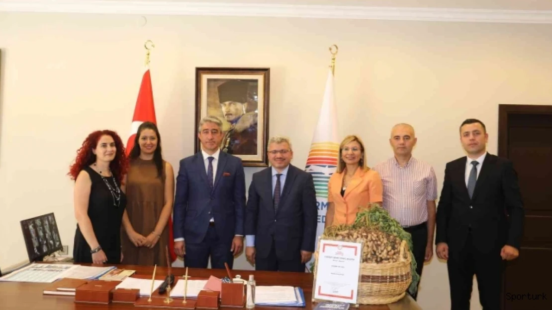 Marmaris'in yer fıstığı coğrafi işaret aldı