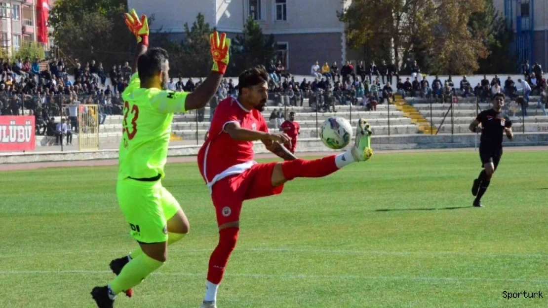 TFF 3. Lig: Karaman FK: 2 - Ayvalıkgücü: 3