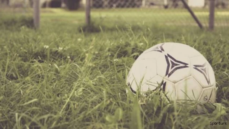 Profesyonel liglerde İstanbul takımları