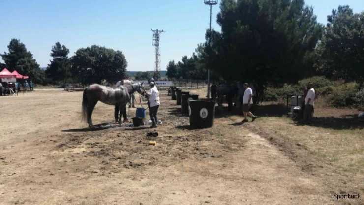 Uluslararası Atlı Dayanıklılık yarışmaları Çanakkale'de düzenleniyor