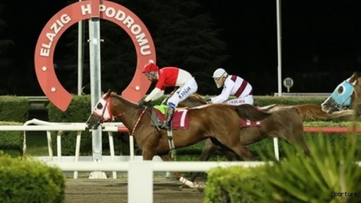 Elazığ İl Tarım ve Orman Müdürlüğü Koşusu'nu Yutangirdap kazandı