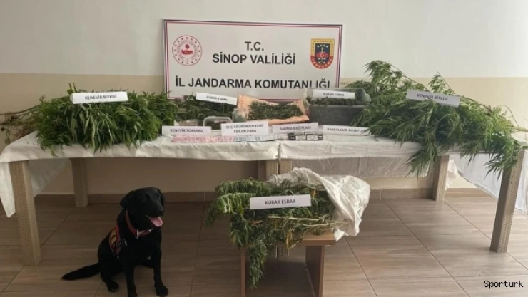 Sinop'ta uyuşturucu operasyonu